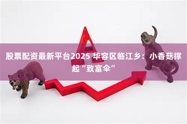 股票配资最新平台2025 华容区临江乡：小香菇撑起“致富伞”