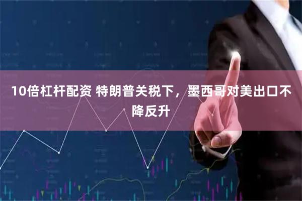 10倍杠杆配资 特朗普关税下，墨西哥对美出口不降反升