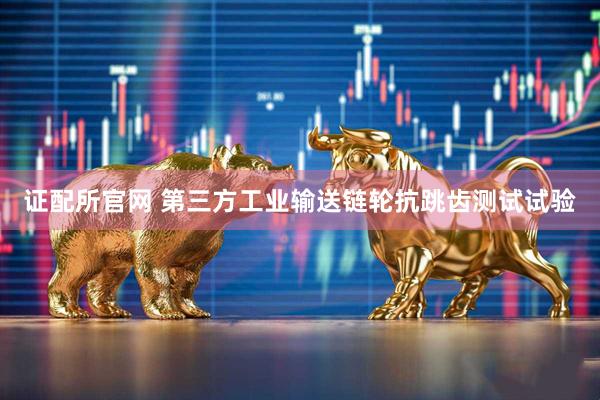 证配所官网 第三方工业输送链轮抗跳齿测试试验