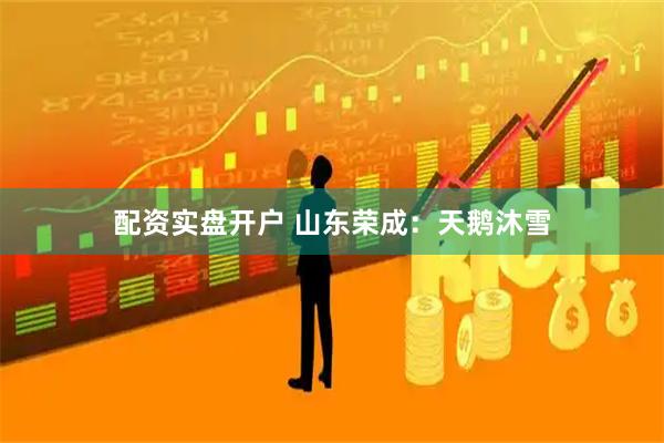 配资实盘开户 山东荣成：天鹅沐雪